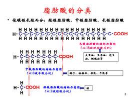 中長鏈脂肪酸 中長鏈脂肪酸