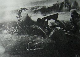 1946年5月，四平激戰