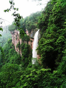 大窩鋪原始森林 大窩鋪原始森林