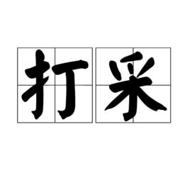 打采 打采