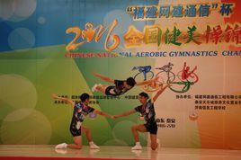 全國健美操錦標賽 全國健美操錦標賽