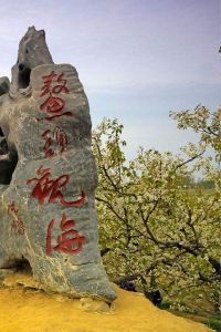 鰲頭觀海 鰲頭觀海