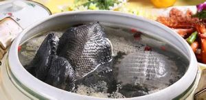 烏雞煨鱉裙 烏雞煨鱉裙