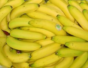 天寶香蕉 天寶香蕉