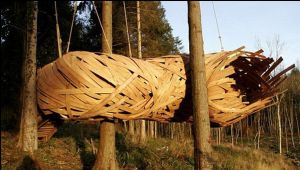 繭狀樹屋 繭狀樹屋