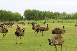 恩格貝生態旅遊區 恩格貝生態旅遊區