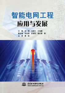 智慧型電網信息工程 智慧型電網信息工程