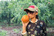 石鼓鎮[湖北省丹江口市石鼓鎮]