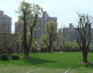 春申景城三期 春申景城三期