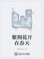 紫荊花開在春天 紫荊花開在春天