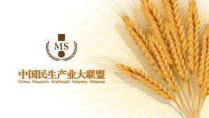 中國民生產業大聯盟
