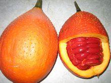 木鱉果鮮紅果肉