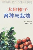 大果榛子育種與栽培 大果榛子育種與栽培