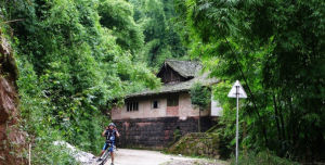 花楸山風景區 花楸山風景區