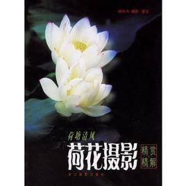 荷塘清風:荷花攝影精賞精解 荷塘清風:荷花攝影精賞精解