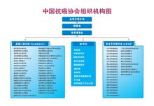 中國抗癌協會組織機構圖