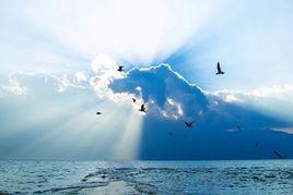 Dive[莎拉布萊曼的個人專輯]