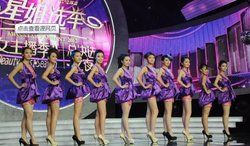 星姐選舉 星姐選舉