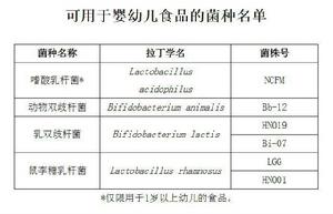 可用於嬰幼兒食品的菌種名單