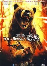 《狂野的灰熊》