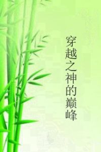 穿越之神的巔峰 穿越之神的巔峰