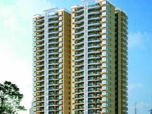 新葵花苑 新葵花苑