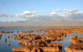 石嘴山市沙湖旅遊景區 石嘴山市沙湖旅遊景區