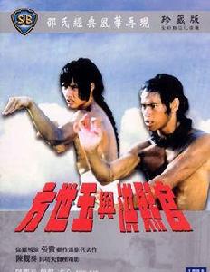 洪熙官與方世玉 洪熙官與方世玉