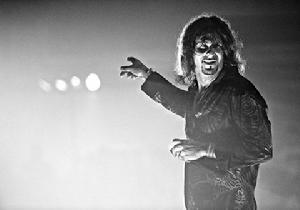 史蒂夫·李 史蒂夫·李