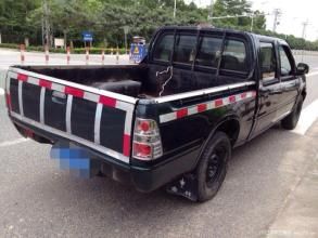 金杯金典 金杯金典