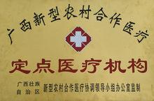 醫院榮譽、醫保、新農合