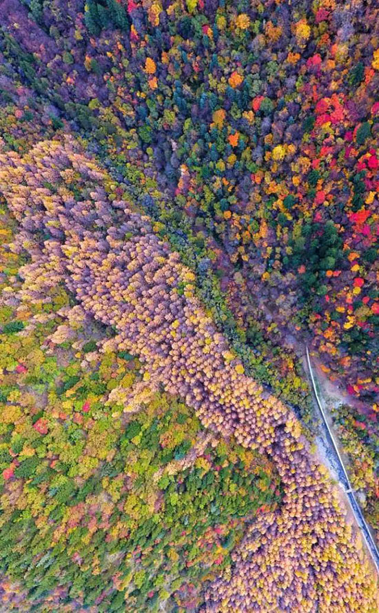 這才是未來3個月該去的地方,簡直要逼瘋攝影師!值得你挑一個出發!
