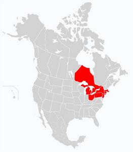 2003年美加大停電 2003年美加大停電