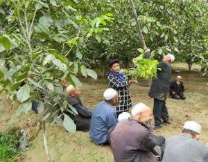 木奎拉鄉 木奎拉鄉