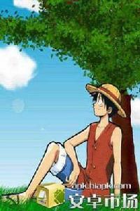 海賊王動態主題 海賊王動態主題