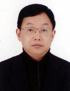 楊宏偉[重慶市供銷合作總社主任]