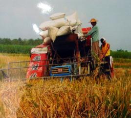 耕地紅線 耕地紅線