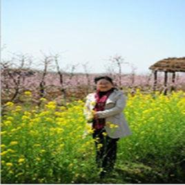 宋燕[湖北財稅職業學院幹部教育培訓專職教師]