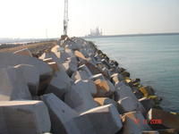 扭王字塊 扭王字塊