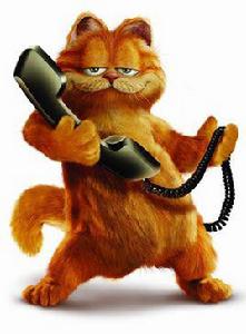 加菲貓[加菲貓系列電影]