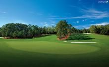 聖安德魯斯 聖安德魯斯