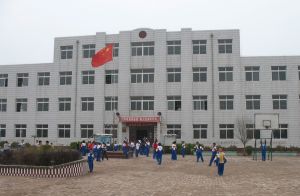 天津市寶坻區程泗淀中心國小 天津市寶坻區程泗淀中心國小