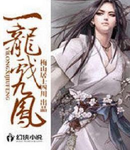 一龍戲九鳳 一龍戲九鳳