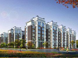 楓林小鎮 楓林小鎮