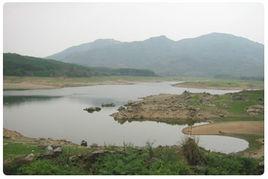 衛星農場 衛星農場