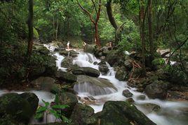 福建靈石山國家森林公園 福建靈石山國家森林公園
