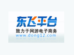 東飛平台 東飛平台