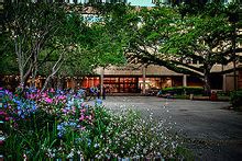 路易斯安那州立大學