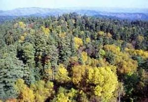 長白山自然保護區