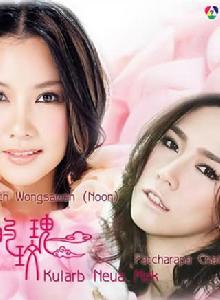 雲上的玫瑰 雲上的玫瑰